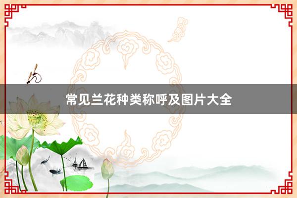 常见兰花种类称呼及图片大全